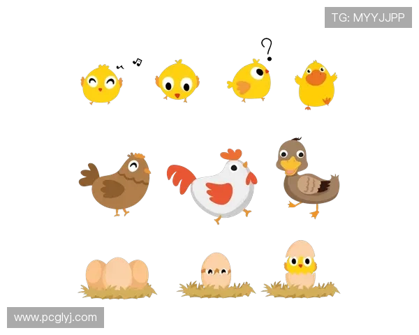 小鸡足球明星名字大全让你了解可爱小鸡的足球世界与精彩故事